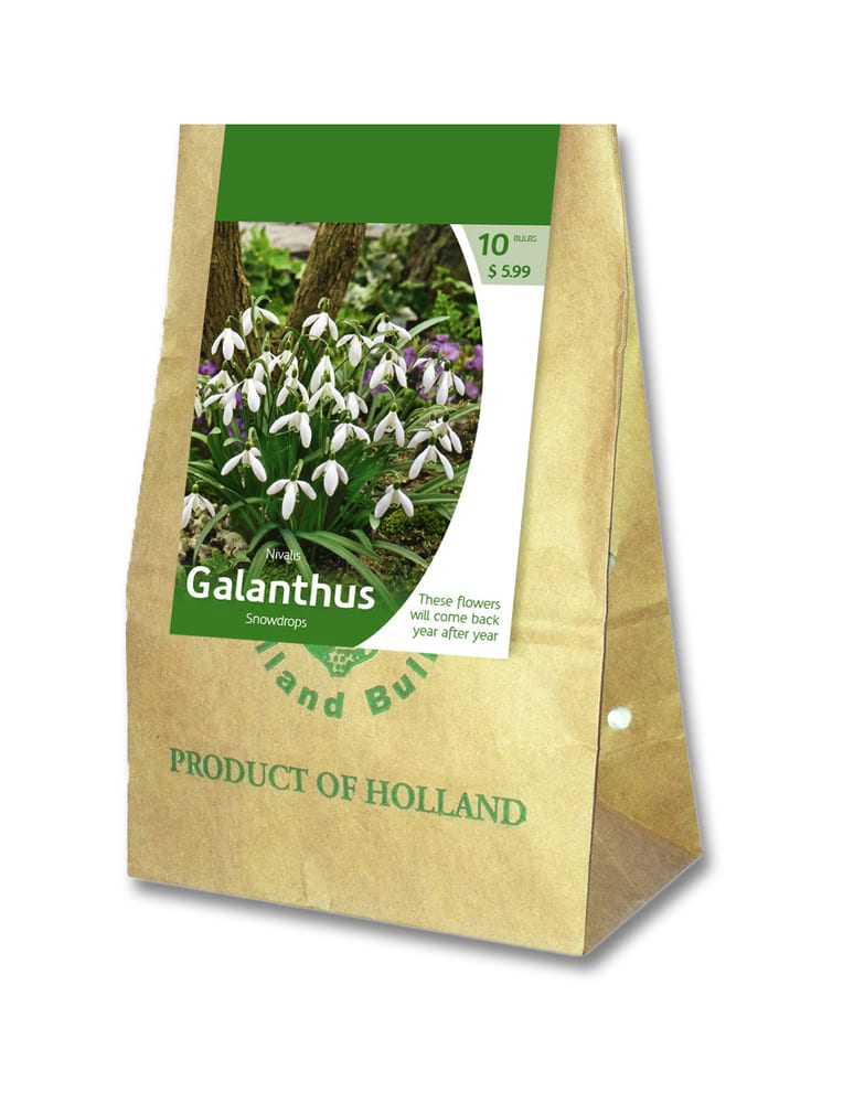 Nivalis Snowdrops Galanthus Bulbs 10 Pk Canadian Tire