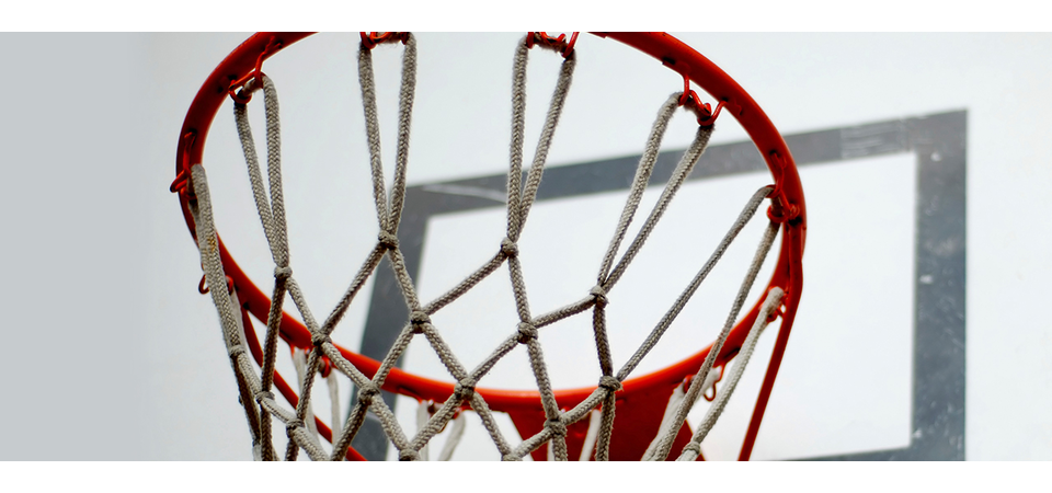 ct-howto-2016-SportsAndRec-ChooseaBasketbalHoop-1280x522-FWT