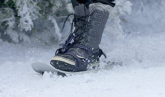 ct-howto-2016-choosesnowshoes-543x321_step3-1