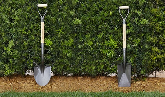 How to choose gardening tools Tab1 Step 1