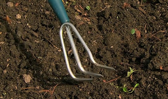 How to choose gardening tools Tab3 Step 2