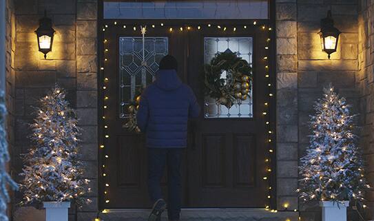 ct-howto-2016-holiday-choosewhitechristmaslights-543x321_step2-1