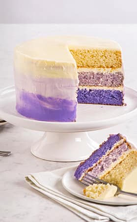 ct-howto-2016-how-to-make-a-ombre-cake-279x451-ST