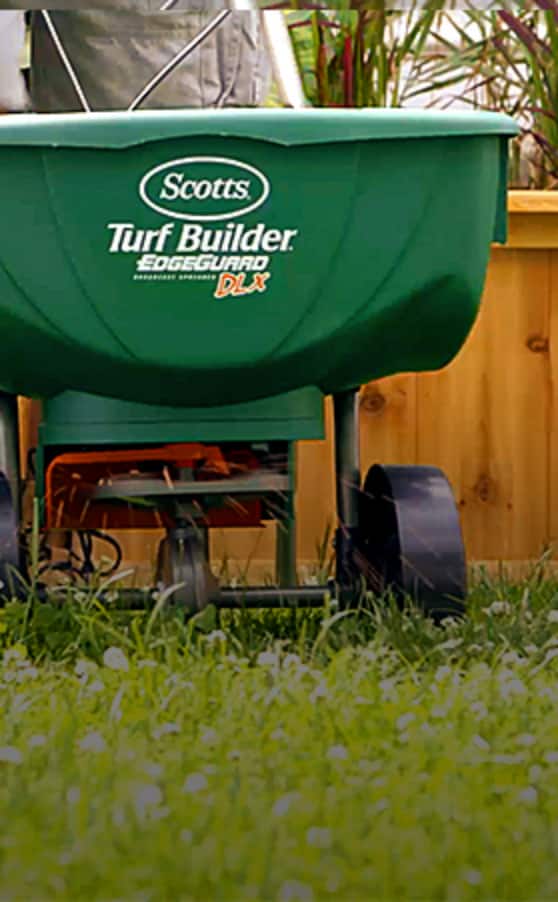 How to fertilize your lawn