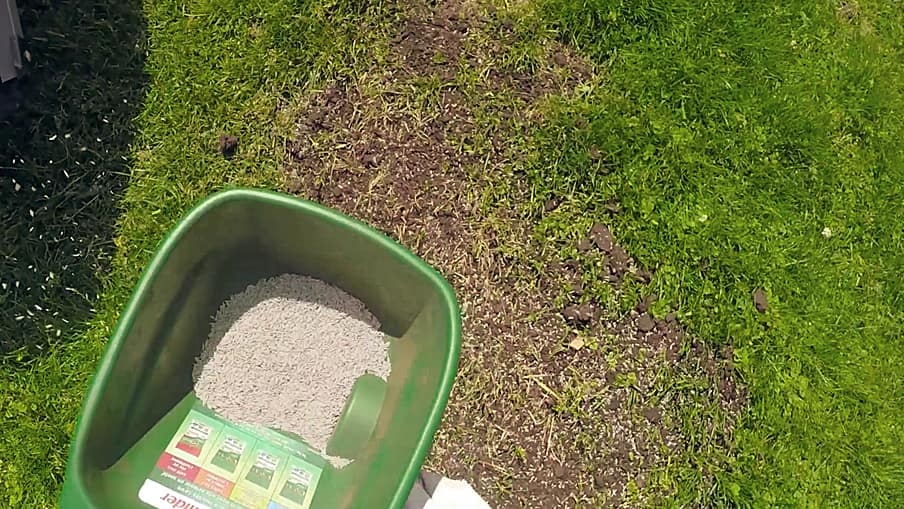 08-small-projects-2015-patch-a-lawn-clip-grass-seed