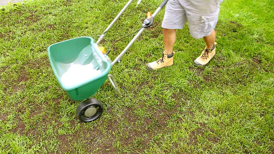 How to thicken your lawn Step 5