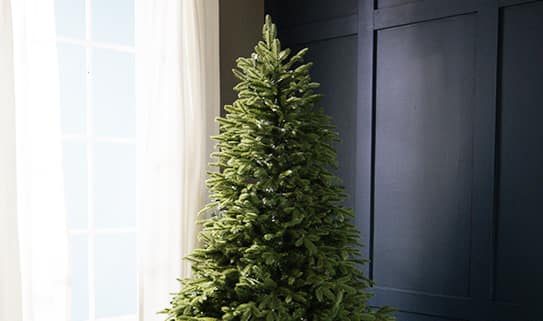 PROJ-13-HOWTO-17-0080-Choose-a-ChristmasTree_02_Size_Diameter