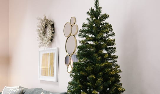 PROJ-13-HOWTO-17-0080-Choose-a-ChristmasTree_05_Lights_Unlit