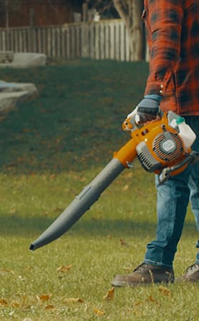 How to choose a leaf blower