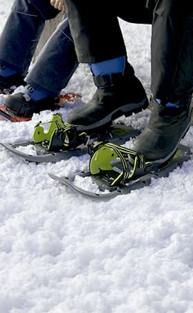 How to choose snowshoes Image