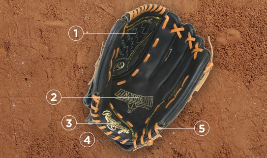 how to choose right baseball and softball equipment step 2 01