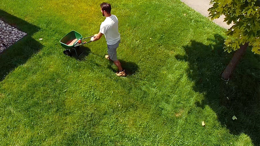 how to fertilize your lawn step 2
