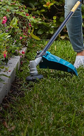 How to choose a grass trimmer