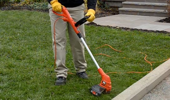 ct-howto-2016-Outdoor-ChooseaGrassTrimmer-543x321-Step2-03
