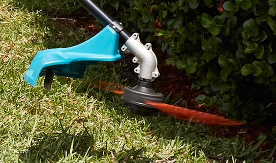 ct-howto-2016-Outdoor-ChooseaGrassTrimmer-543x321-Step3-06