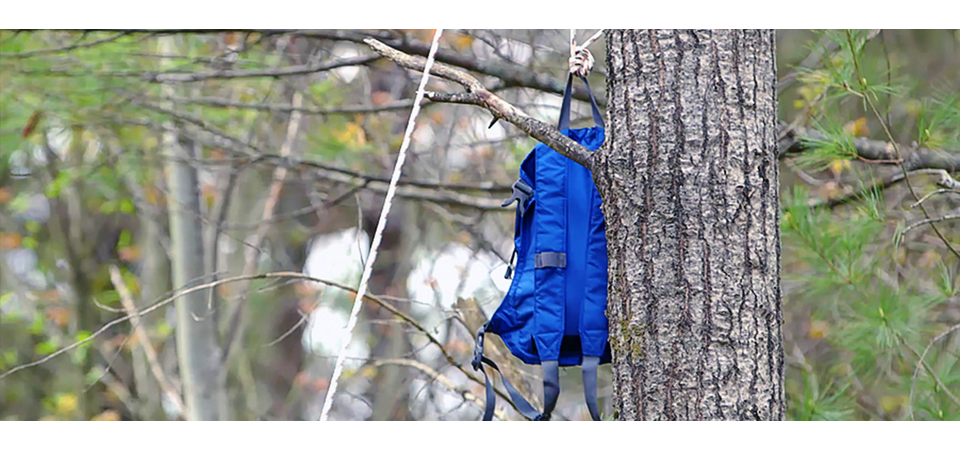 How to protect food from animals when camping Banner