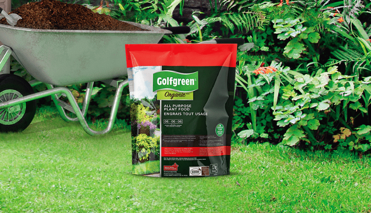 A pack of Golfgreen Organic All Purpose  Plant Food kept in a lush green garden.