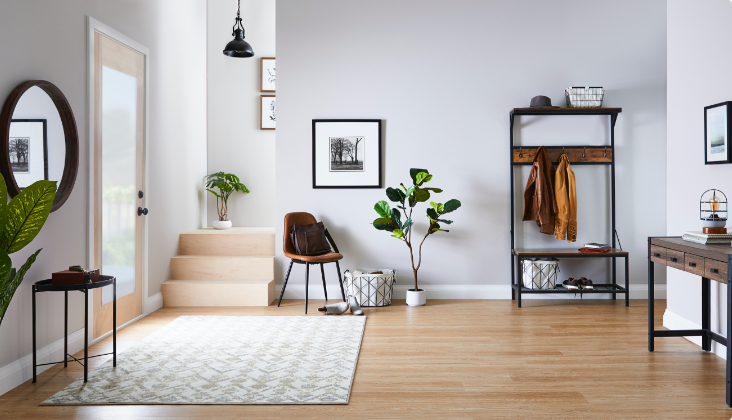 Une entrée propre et bien rangée avec des plantes au sol, une chaise, un portemanteau et une table d’appoint