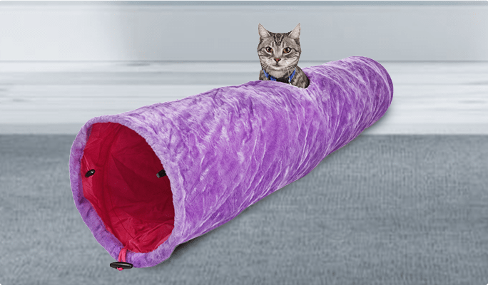 Cat in a purple and red Petco Plush Crinkle Cat Tunnel.