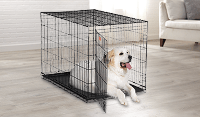 Medium-sized dog sitting in a black metal crate.
