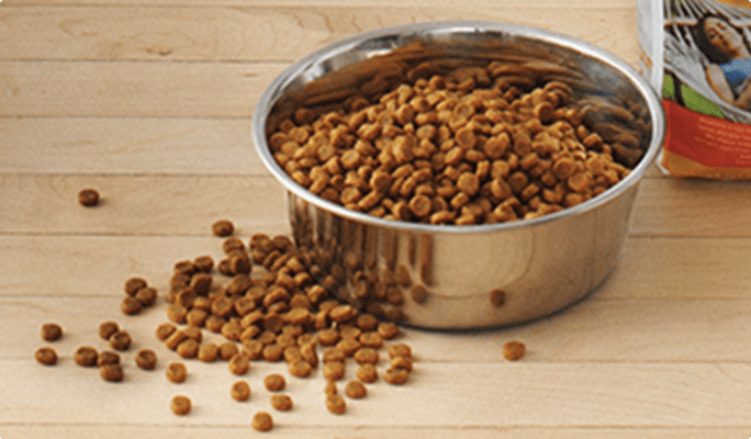 Stainless steel bowl of dry dog food on a hardwood floor.