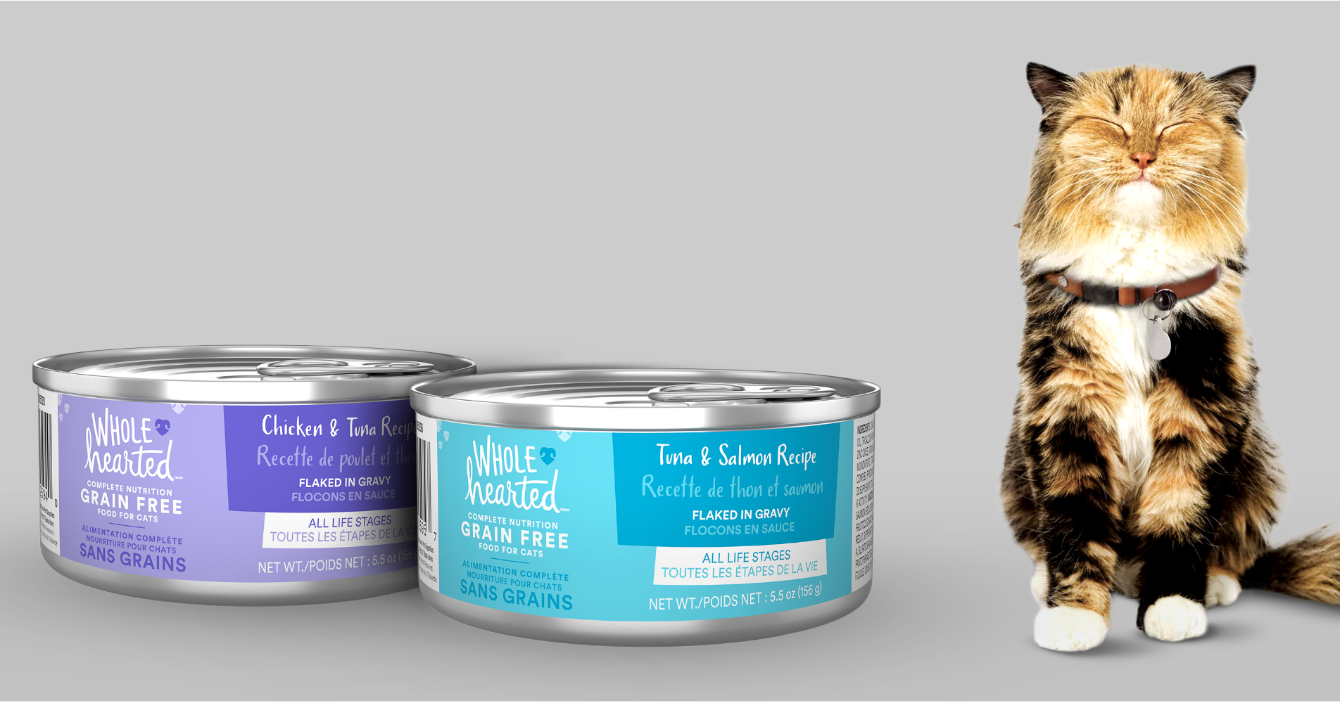 Black and beige cat sitting next to two cans of Wholehearted wet cat food. 