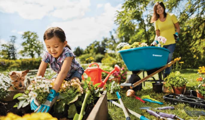 A child plants flowers in the soil while an adult pushes a blue wheelbarrow nearby.