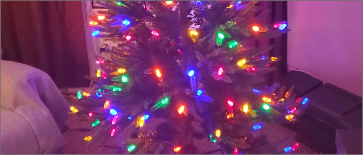 Christmas tree lit up with multicoloured lights.