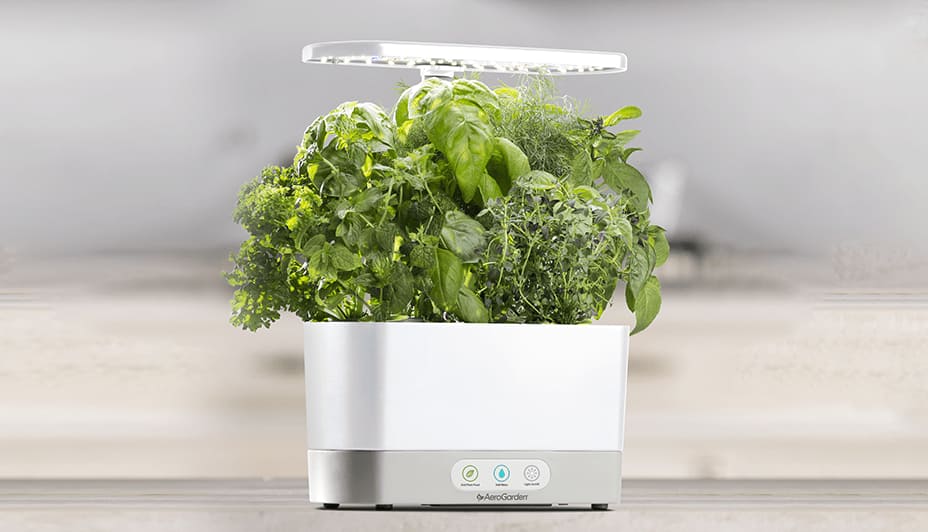 White Miracle-Gro AeroGarden Harvest planter with herbs growing inside.