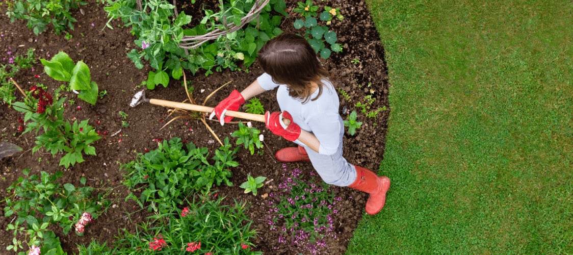 Femme portant des bottes en caoutchouc rouges et des gants de jardinage rouges qui ratisse le sol d’un jardin.