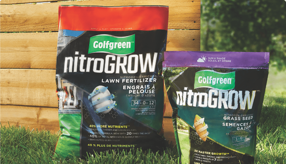 Bags of Golfgreen Nitrogrow grass seed and lawn fertilizer. 