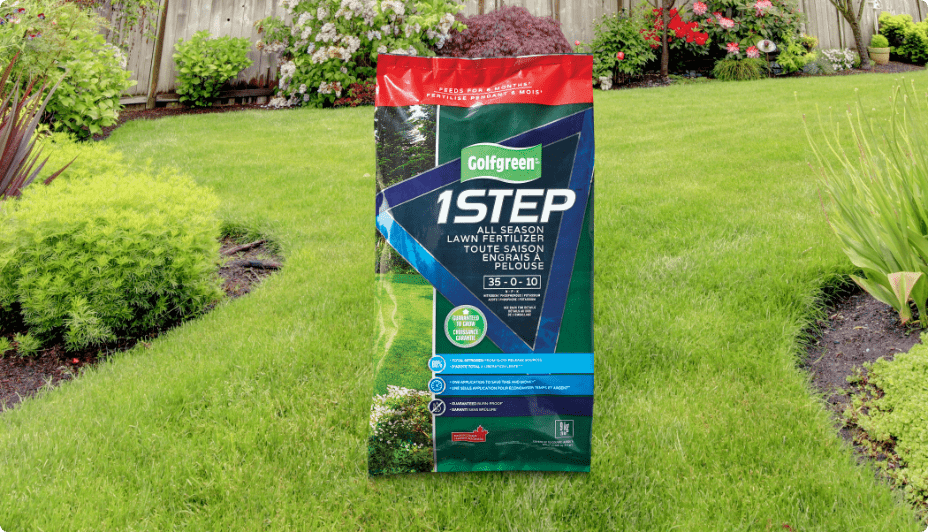 A bag of Golfgreen 1-Step all season lawn fertilizer. 