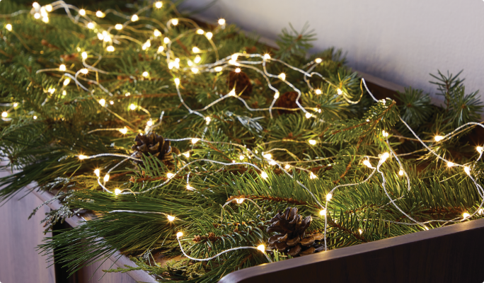 Christmas Starry Lights 