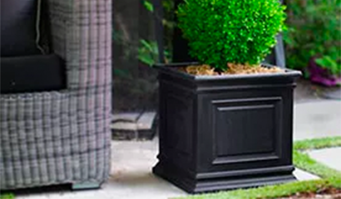 Black planter with green tree