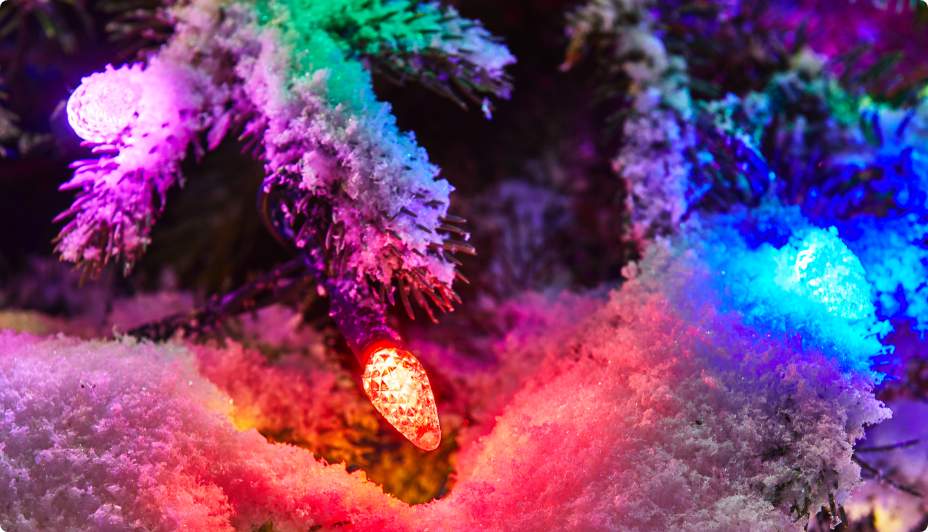 NOMA multi-coloured lights on an outdoor tree 