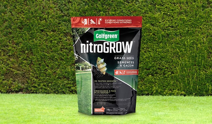 Ensemble d’articles nitroGrow sur une pelouse verdoyante