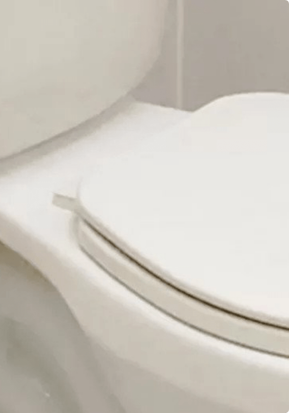 Close up view of toilet