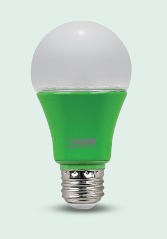 Feit electric light bulb