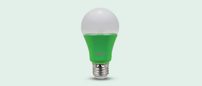 Feit electric light bulb