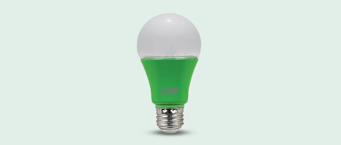 Feit electric light bulb