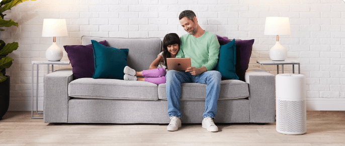 NOMA iQ air purifier