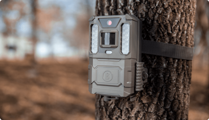 Hunting trail camera on a tree