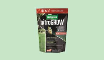 Un sac de semences Golfgreen nitroGROW sur un fond vert.
