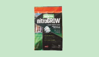 Single bag of Golfgreen Lawn Fertilizer product against a light green background. 