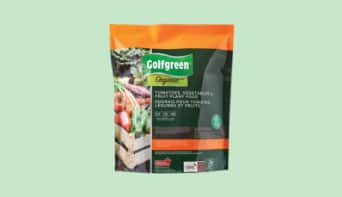 Single bag of Golfgreen Plant & Garden Food product against a light green background. 