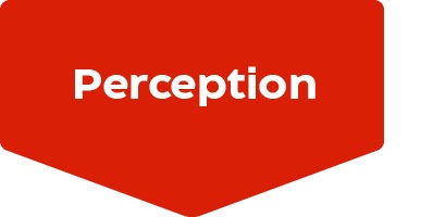 Perception
