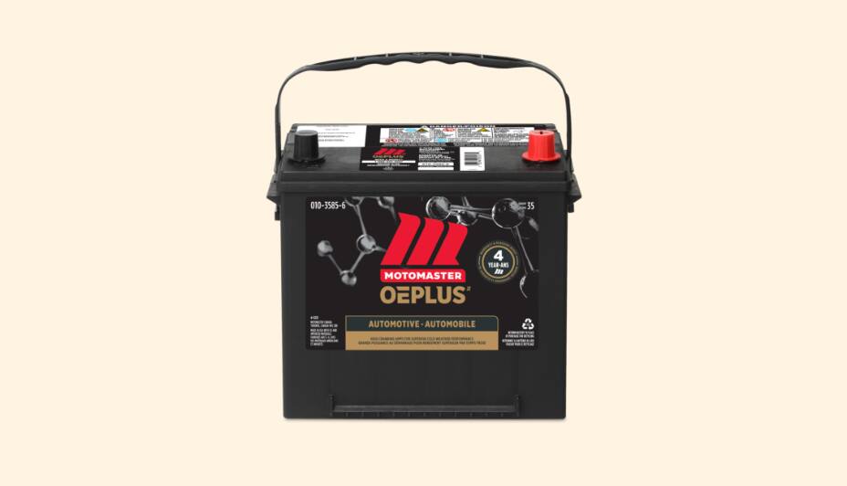 Batterie de voiture MotoMaster OEPlus 
