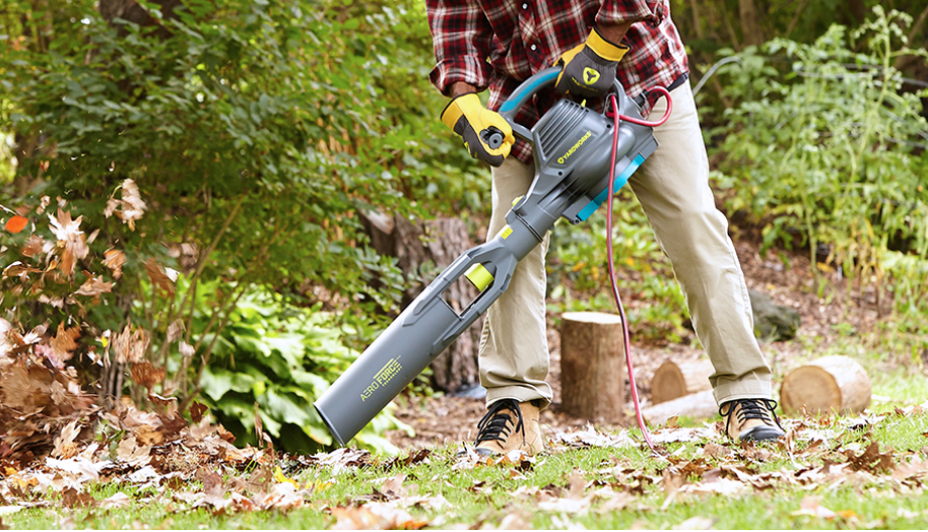 Person using a leaf blower and clearing leaves off of lawn