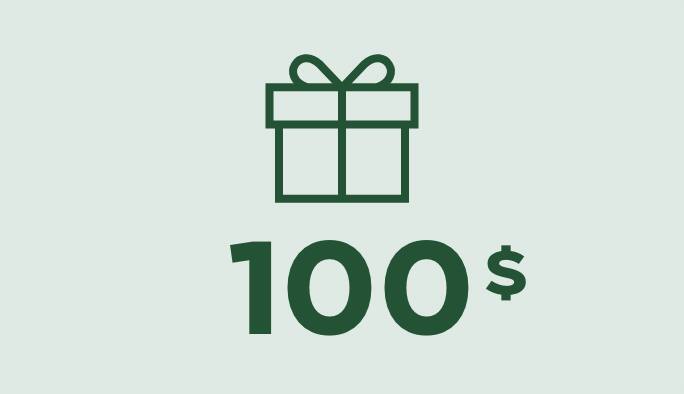 Cadeaux à moins de 100 $