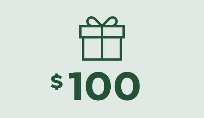 Gifts under $100